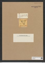 Triceratium definitum Grev. (de-Toni-Nr.: Genus 140, Species 3815) Zeichnungen Sammlung Grunow Nr. 7311 (NHMW-BOT-W0376346)